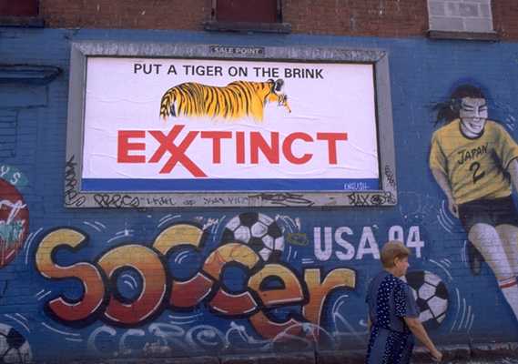 Liberated Billboard