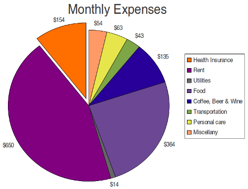 My major taxable monthly expenses, constituting about two-thirds of my total monthly expenses, are rent, food, and drink