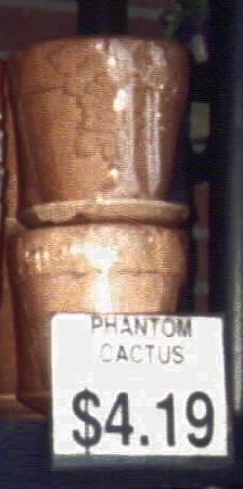 Phantom Cactus
