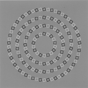 small black and white squares arranged in four concentric circles appear to be arranged in a set of interlocking spirals