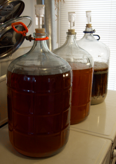 three carboys of beer at various stages of brewing