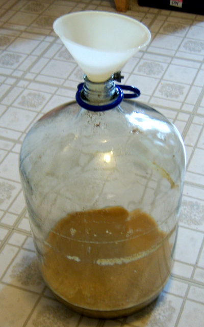 preparing to fill the primary fermenter