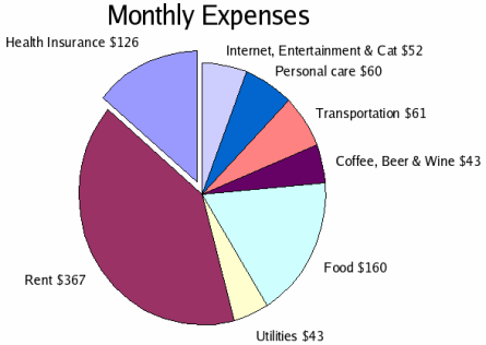 My biggest monthly expenses are rent, food, and health insurance