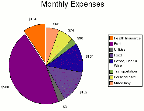 My major monthly expenses, constituting almost 75% of my total monthly expenses, are rent, food, and drink