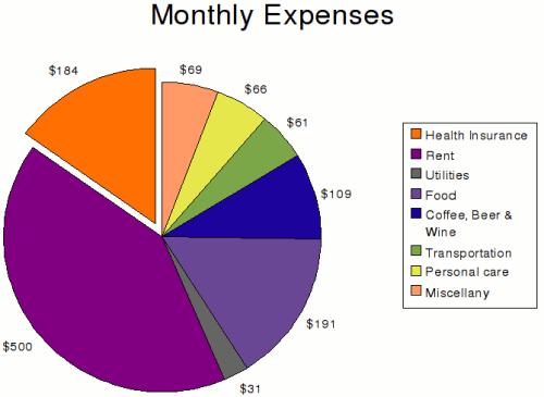 total monthly expenses