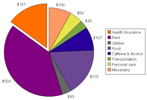 My major taxable monthly expenses, constituting about two-thirds of my total monthly expenses, are rent, food, and drink