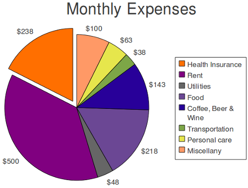 My major taxable monthly expenses, constituting about two-thirds of my total monthly expenses, are rent, food, and drink