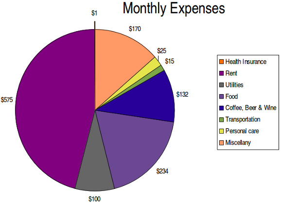 My major taxable monthly expenses, constituting more than three-quarters of my total monthly expenses, are rent, food and drink, and my cat.