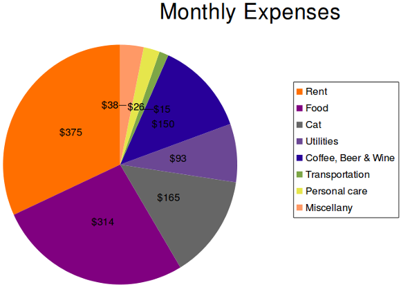 My major taxable monthly expenses, constituting more than three-quarters of my total monthly expenses, are rent, food and drink, and my cat.