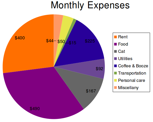 My major taxable monthly expenses, constituting more than three-quarters of my total monthly expenses, are rent, food and drink, and my cat.