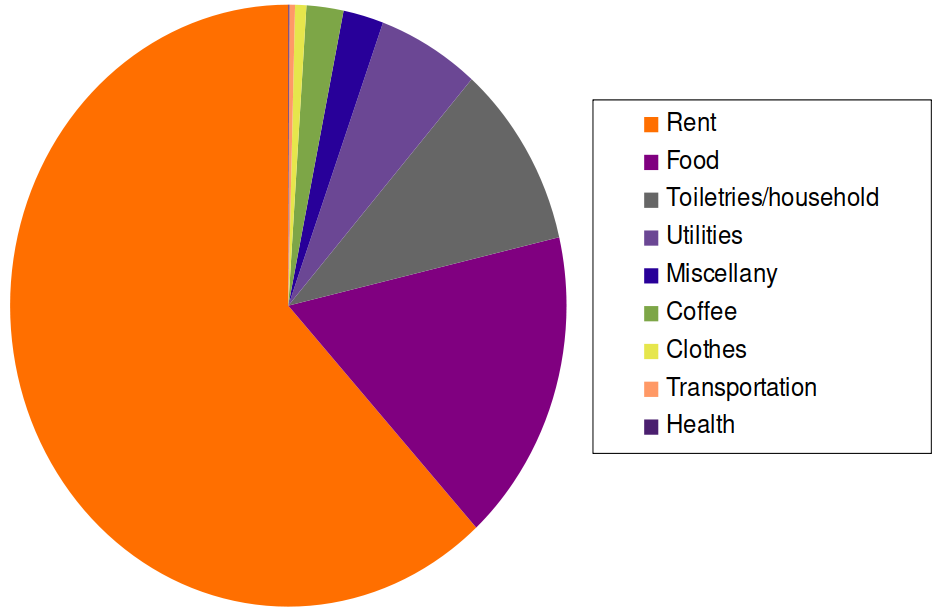 Rent takes up more than half of my total monthly expenses. Food, household necessities, and utilities take up most of the rest.