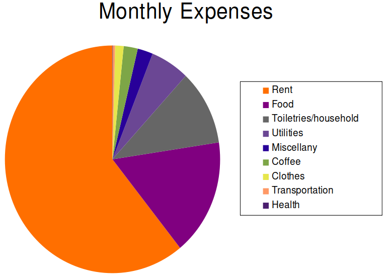 Rent takes up more than half of my total monthly expenses. Food, household necessities, and utilities take up most of the rest.