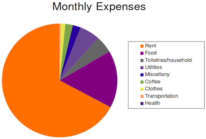 Rent takes up more than half of my total monthly expenses. Food, household necessities, and utilities take up most of the rest.