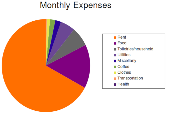 Rent takes up more than half of my total monthly expenses. Food, household necessities, and utilities take up most of the rest.